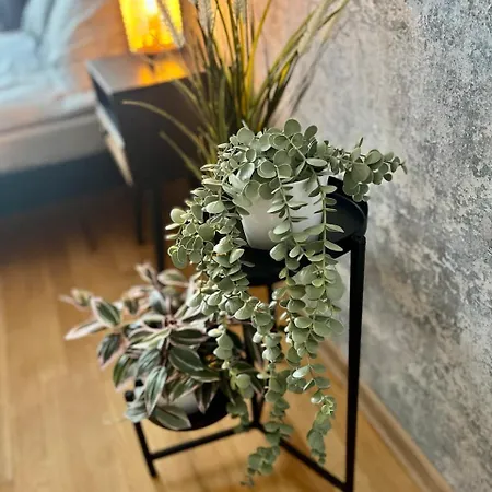 Avotu 'self Check-in' 3*