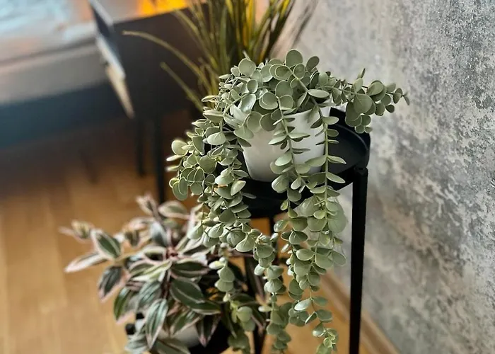 Avotu 'self Check-in' 3*