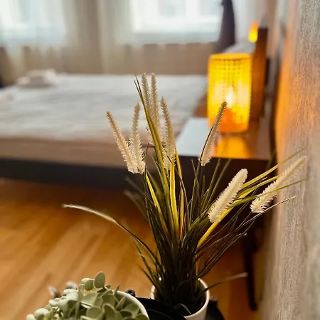 Avotu 'self Check-in' 리가