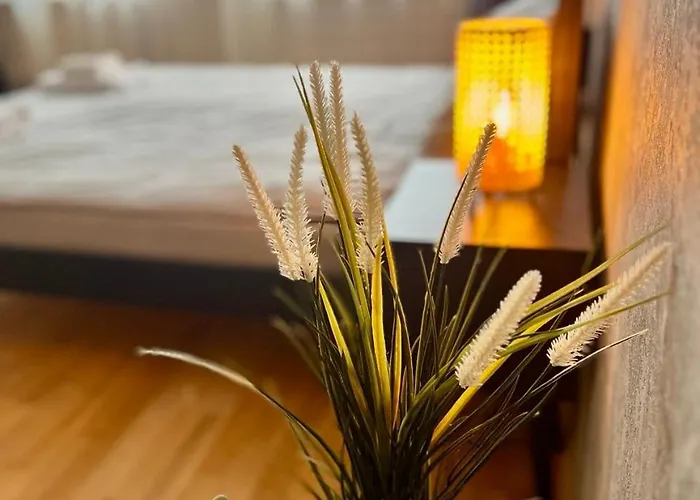 Avotu 'self Check-in' Riga